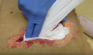 Packing a fake wound with gauze